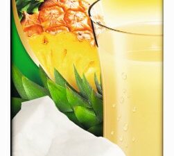 Pineapple and coconut drink 25% 1 ltr