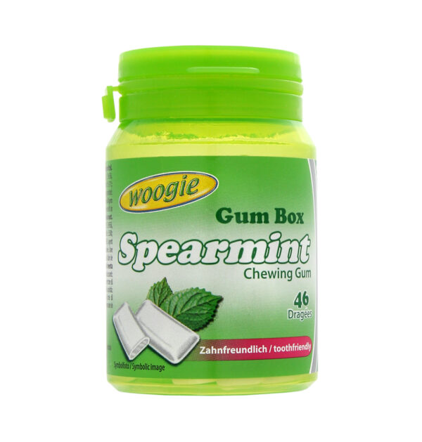 Chewing gum spearmint sugar free 64,4g