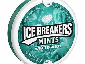Ice Breakers Mints ‐ Wintergreen 42gm