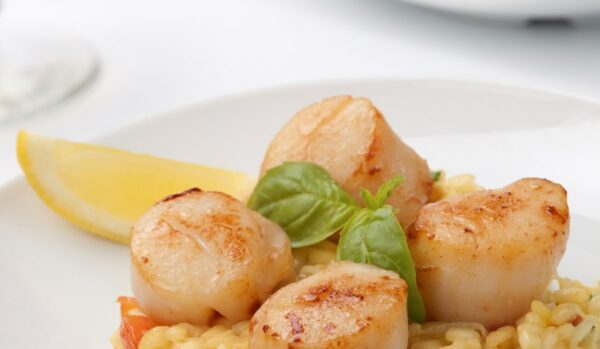 Scallops Without Roe Size 10‐20 (By Weight) Approx 1 Kgs Pkt (Rate per kg)